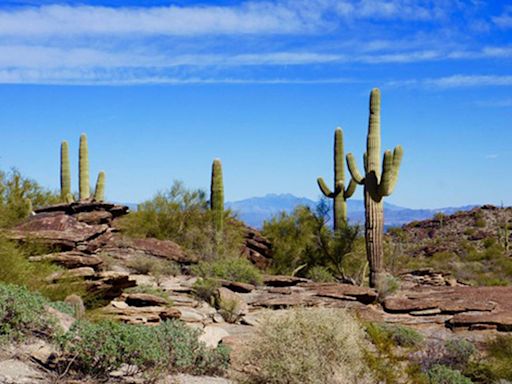 10-year-old boy dies in Arizona after hiking in triple-digit temperatures