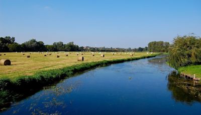 Mystery Of 3,000-Year-Old Battle Unfolds In Germany's Tollense River Valley