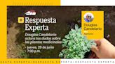 Respuesta Experta: envía tus preguntas a Douglas Candelario sobre las plantas medicinales