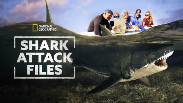 Shark Attack Files Season 1 Streaming: Watch & Stream Online via Disney Plus