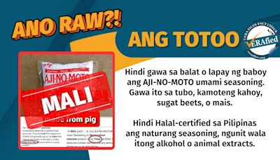 FACT CHECK: AJI-NO-MOTO® NOT made from pork skin, pig pancreas