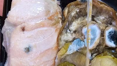 American Airlines launches investigation over moldy meal served on flight