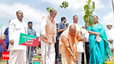 UP achieves green feat with 36.51 crore saplings | Lucknow News - Times of India