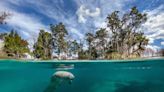 This Magical Florida Town Is the Only Place in the U.S. Where You Can Swim with Manatees