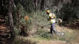 Torrent refuerza su brigada forestal con un treintena de nuevos operarios