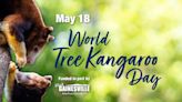 What's Happening: World Tree Kangaroo Day and 'Fire and Ice' performance