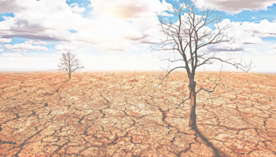 Dead tree emoji: A digital plea for climate awareness