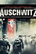 Last Train to Auschwitz