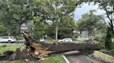 Storms with likely tornadoes slap the Chicago area, killing 1 and cutting power