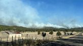 17 incendios en el estado; cuatro hectáreas el de Rocheachi: Conafor