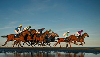 ‘It is a great place to bring horses if you want to do something a little bit different’