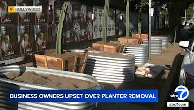 Hollywood business owners upset over city's removal of planters used to deter homeless encampments