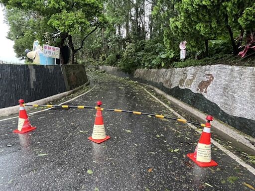 花蓮美崙山、知卡宣公園等遊憩區 颱風後整修休園