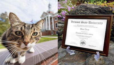 浪浪貓獲頒「榮譽博士」 美大校方宣布：4年可以畢業了！