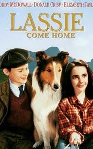 Lassie Come Home