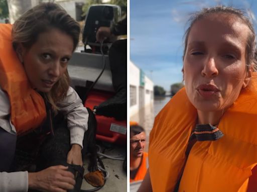 Luisa Mell fratura duas costelas durante resgates no Sul - OFuxico