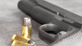 Decision of the Day: New York's Background Check, Fee to Buy Ammunition Survives Challenge Brought...
