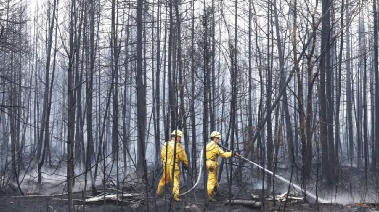 Report on 2023 N.S. wildfires highlights strengths, areas for improvement