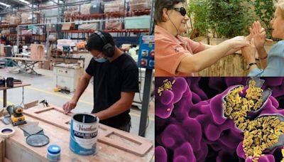 ...Día de las Microempresas y las Pequeñas y Medianas Empresas, Día Internacional de las Personas Sordociegas y Día Mundial del Microbioma