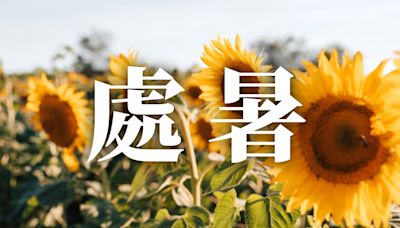 24節氣處暑：習俗、禁忌、諺語、天氣、養生重點一次看