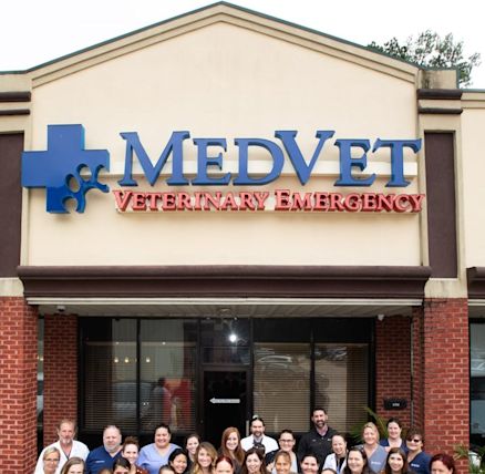 med-vet-mandeville- - Yahoo Local Search Results