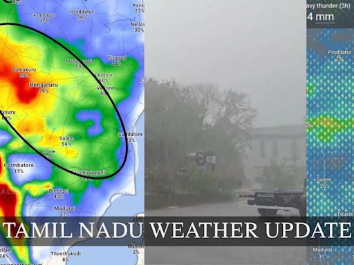 Tamil Nadu Weather Alert: 19 Districts On Yellow Alert, Chennai To Get Rains For Next 2 Days