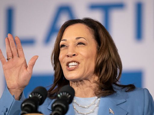 Harris tries to hold the line for Biden as Democrats panic over election