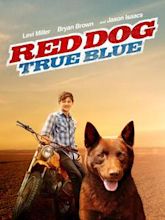 Red Dog: True Blue