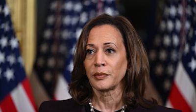 Présidentielle américaine 2024 : Kamala Harris, une « vieille fille »… L’élégante sortie de J.D. Vance refait surface