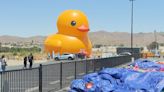 Llega a Lake Elsinore el “pato de goma” más grande del mundo