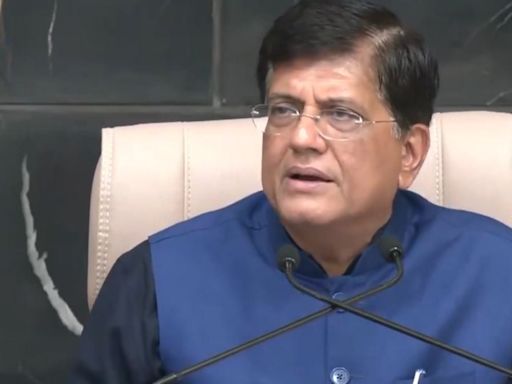 '10 Years Of UPA Govt Was A Failed Experiment,' Says Union Minister Piyush Goyal