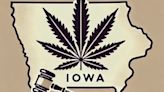 Iowa companies sue over state THC limits