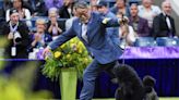 Miniature poodle named Sage wins Westminster Kennel Club dog show