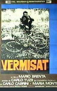 Vermisat