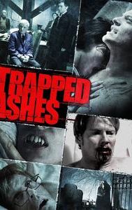 Trapped Ashes