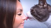 Woman Shares Special 'Cat Language' to Use When Kitties Misbehave