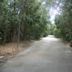 Dagny Johnson Key Largo Hammock Botanical State Park