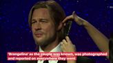 Big Fight! Brad Pitt Calls Angelina Jolie 'Vindictive'