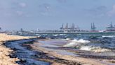 Un vertido obliga a cerrar las playas del parque natural de la Devesa-Albufera en Valencia