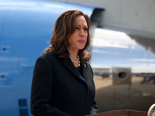 Actual Republicans surface in Arizona to support Kamala Harris