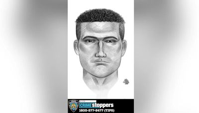 New York City girl, 13, sexually assaulted at knifepoint during broad daylight in park: police