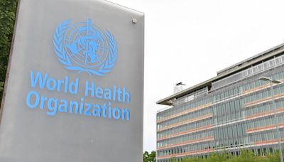 Mpox was declared a global public health emergency by the WHO. Now what?