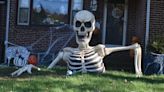 Skeletons are everywhere on Halloween. Here are some to chill you to the bone