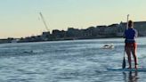 Dolphins surprised paddleboarders on Shrewsbury River. See the video