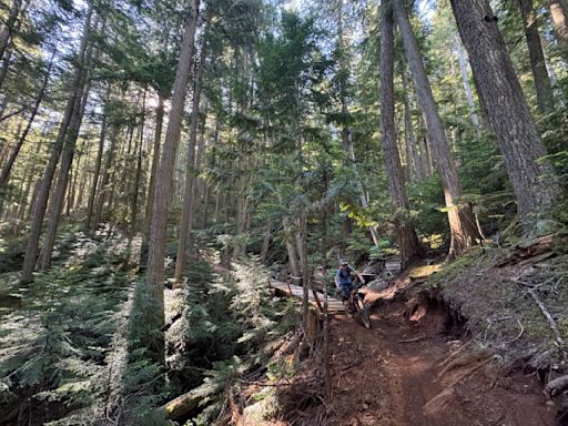 The Skier's Guide to the Whistler Bike Park