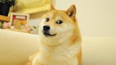 網路最紅迷因柴犬永別這個世界，「Doge」18歲高齡辭世...狗狗幣應聲下跌5％！