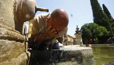 Confirman que las olas de calor pueden reducir la fertilidad masculina - Diario Hoy En la noticia