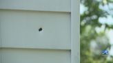 Bullet holes in several houses after Hartford St. shooting