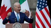 Abogados de H. Biden prometieron poner al presidente en el estrado