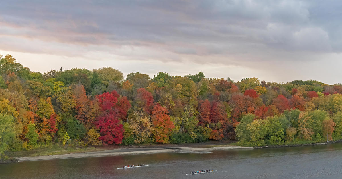 Fall colors will be worth the wait this year, experts say